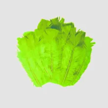پر دریم کچر مدل SBF45 بسته 20 عددی