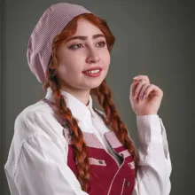 پیشبند مدل ایلمار