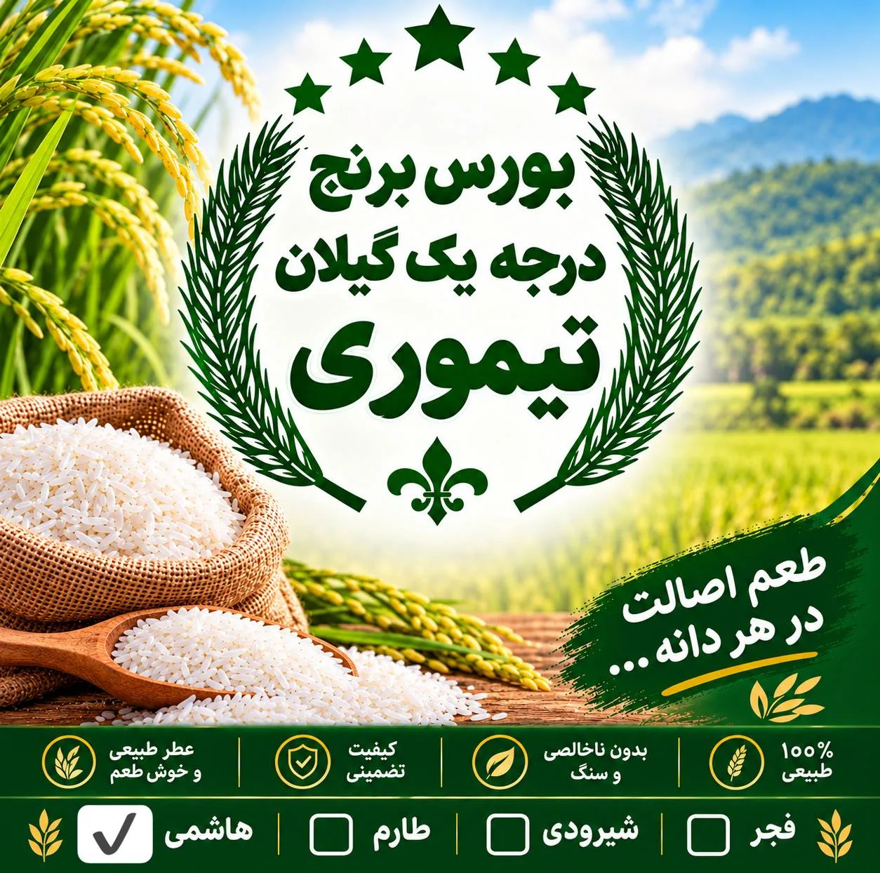 برنج هاشمی گیلان - 10 کیلوگرم
