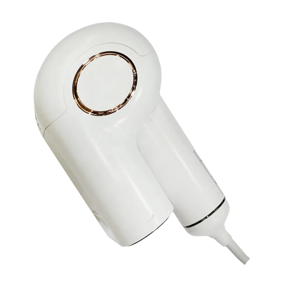 بخارگر دلمونتی مدل DL-960