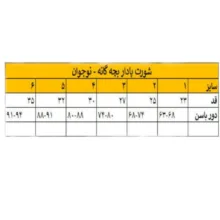 شورت پادار دخترانه کد 025 بسته 4 عددی