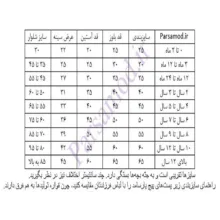 تی شرت یقه اسکی دخترانه لوپیلو مدل یقه اسکی راه راه  SMB183