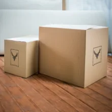 دیوارکوب جهان آرا مدل شیر کد 717