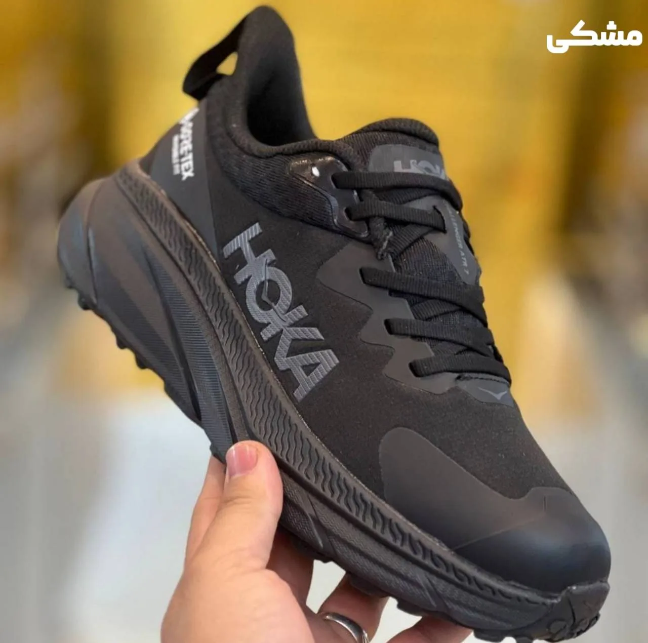 کفش پیاده روی مردانه هوکا مدل challenger goretex