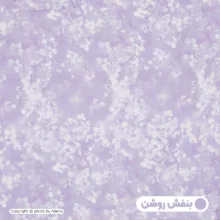 روبالشی آدنو مدل نبات کد FI119 سایز 70x50 سانتی متر بسته 2 عددی