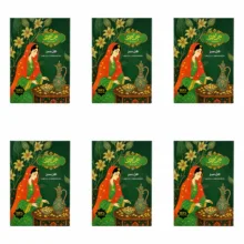 دانه هل جستجو – 15 گرم مجموعه ۶ عددی