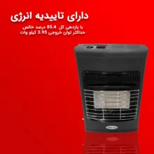 بخاری گازی راین مدل Ra -7500