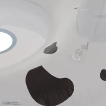 شناور بادی طرح سگ خالدار مدل H239