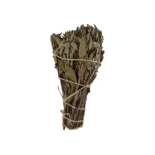 اسماج مدل مریم‌گلی کالیفرنیایی