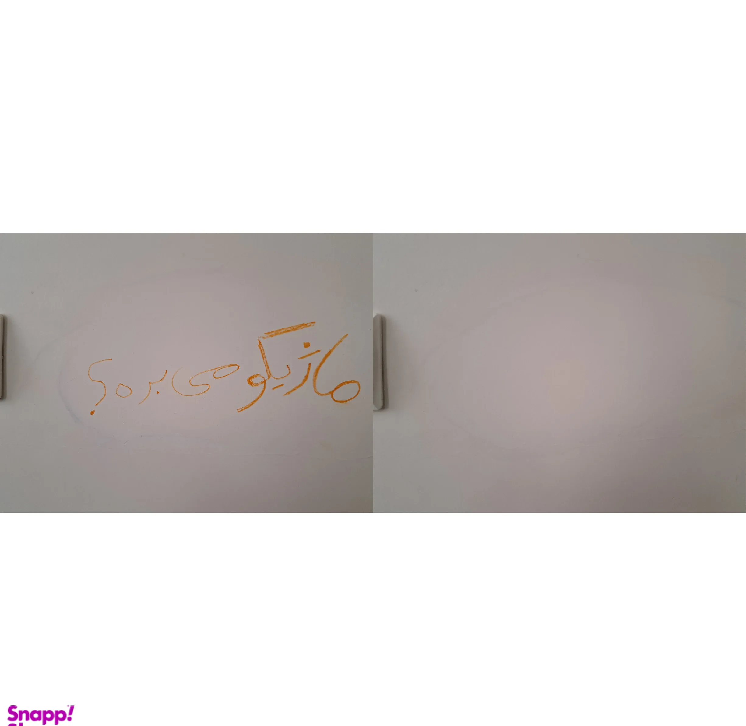 پاک کننده انواع لکه دیوار نیولیش مدل 50