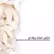 نارگیل خشک ورقه ای بارجیل