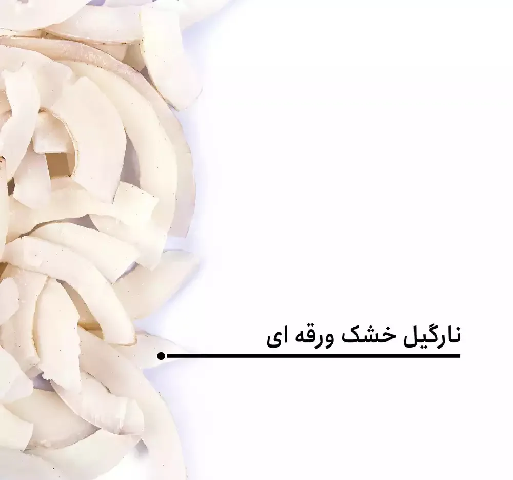 نارگیل خشک ورقه ای بارجیل