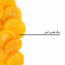 برگه قیسی اعلی بارجیل