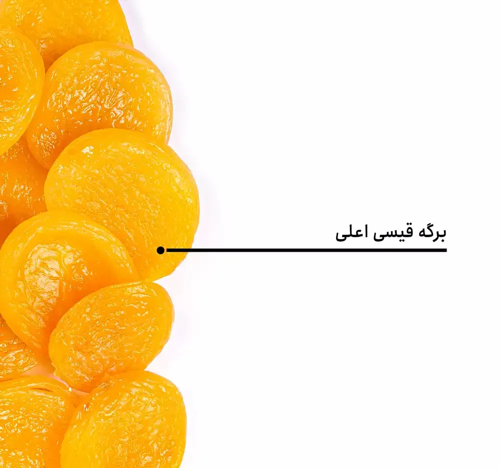 برگه قیسی اعلی بارجیل