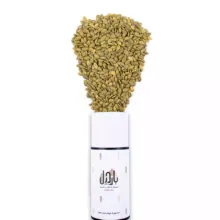 مغز تخمه کدو گوشتی خام بارجیل