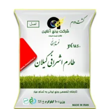 برنج طارم اشرافی گیلان کشت دوم پلاس برنج آنلاین اصل وزن 10 کیلوگرم