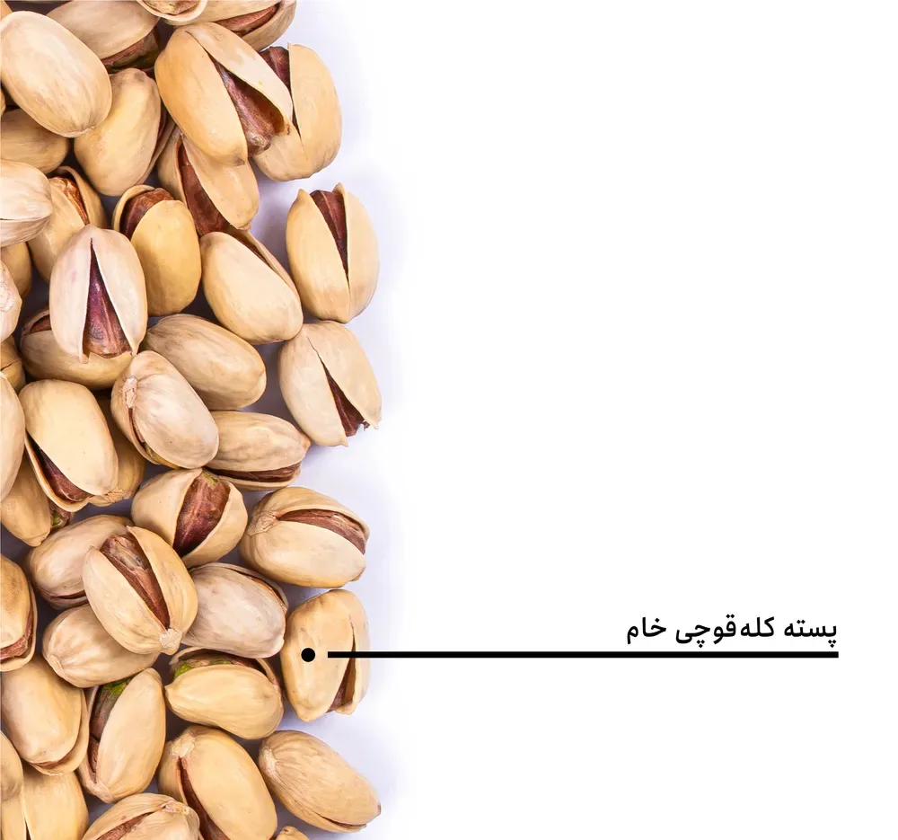 پسته کله قوچی خام بارجیل