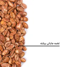 تخمه جابانی برشته بارجیل