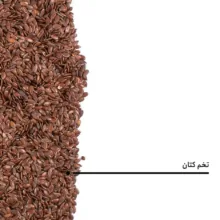 تخم کتان بارجیل
