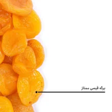 برگه قیسی ممتاز بارجیل