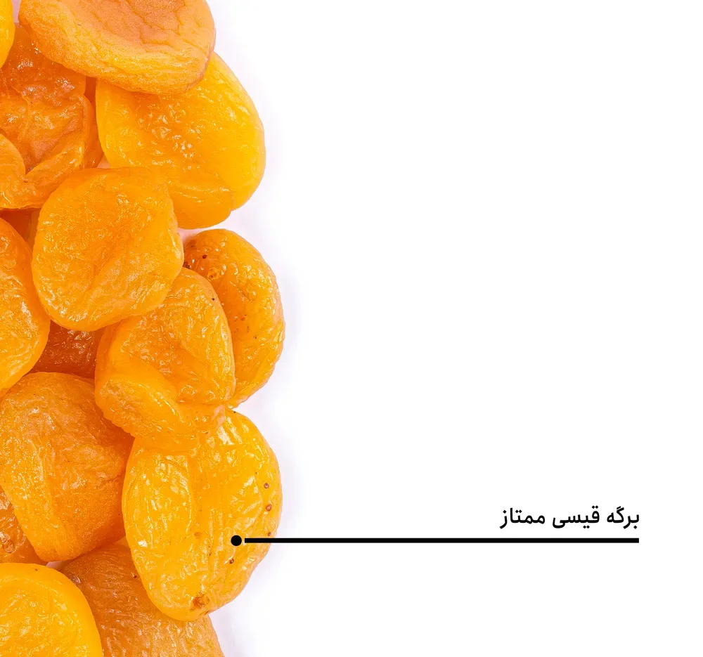برگه قیسی ممتاز بارجیل