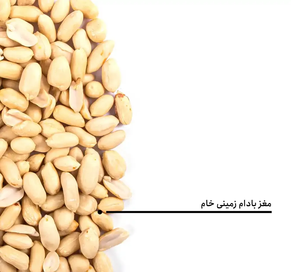 مغز بادام زمینی خام بارجیل