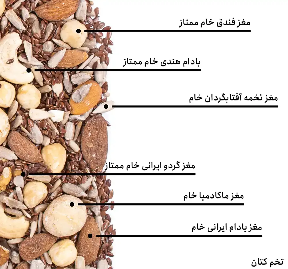 مخلوط آجیل سلامت پوست و مو بارجیل