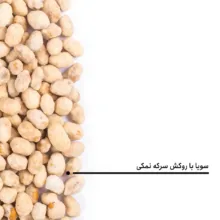 سویا روکش دار سرکه نمکی بارجیل