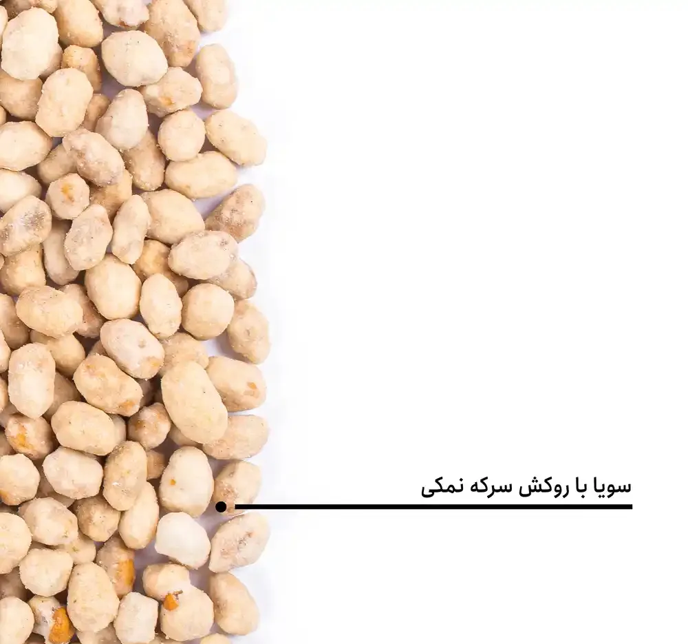 سویا روکش دار سرکه نمکی بارجیل