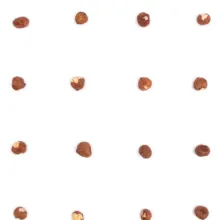 مغز فندق ارگانیک بارجیل