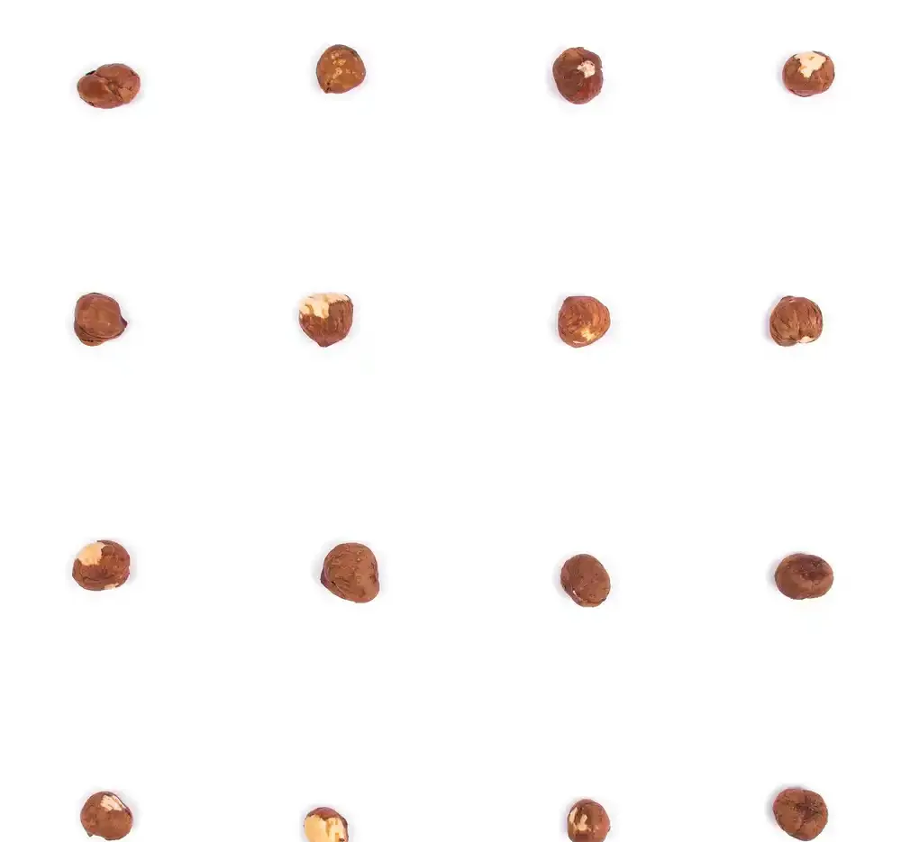 مغز فندق ارگانیک بارجیل