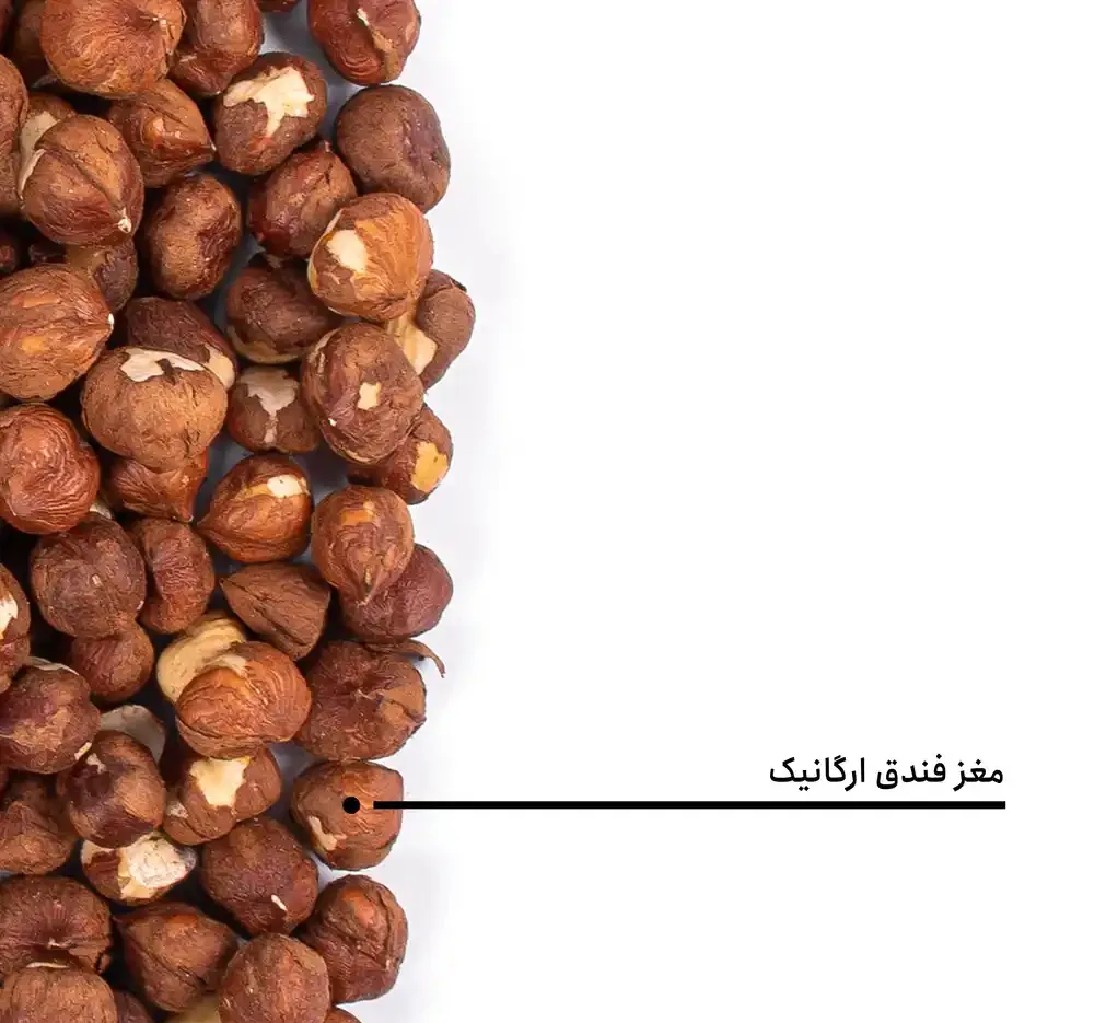 مغز فندق ارگانیک بارجیل