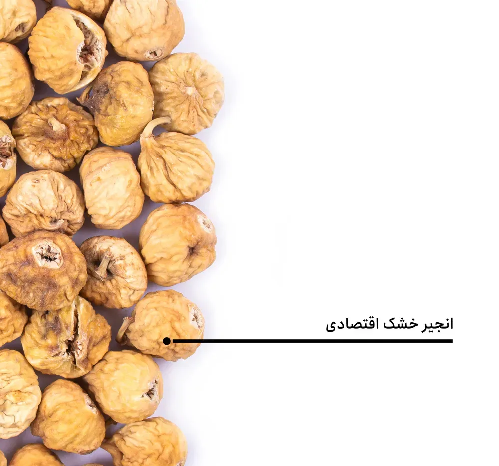 انجیر خشک اقتصادی بارجیل