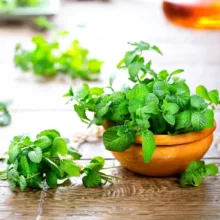 عرق نعنا ارگانیک ژیک حجم 1 لیتر