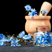 عرق کاسنی ارگانیک ژیک حجم 1 لیتر بسته 9 عددی