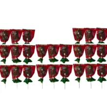 شکلات عروسکی زوو شیرین عسل بسته 24 عددی