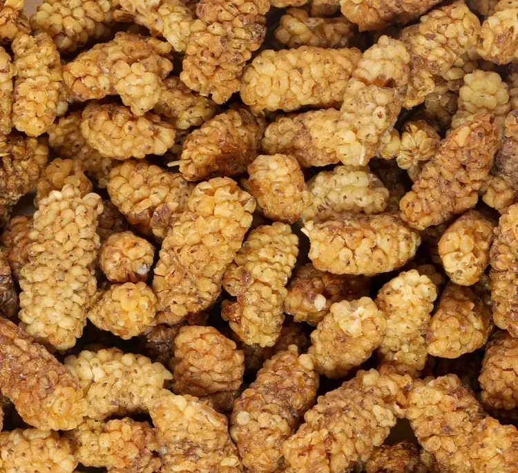 توت خشک ناتژی