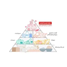 پاستیل با طعم میوه شیرین عسل وزن 900 گرم