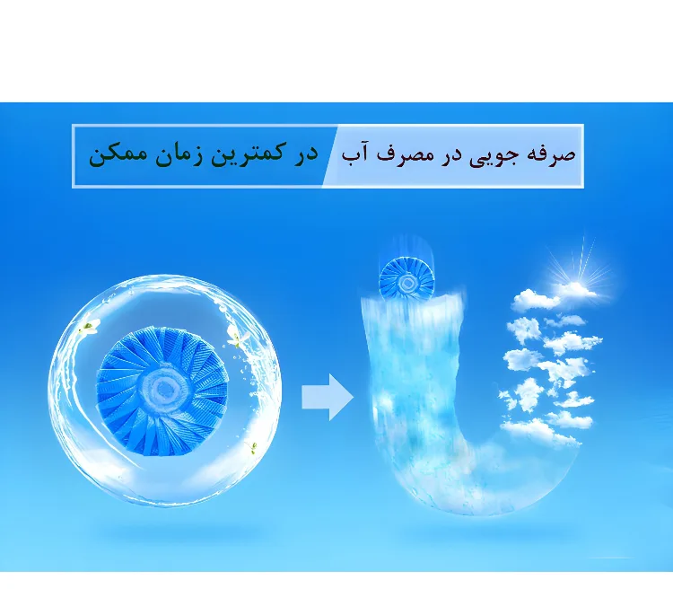 قرص جرمگیر توالت فرنگی فرانک مدل Lemon کد 423 بسته 2 عددی