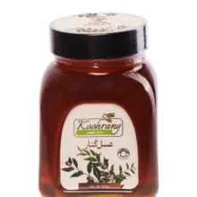 عسل طبیعی کنار رویال کندو کوهرنگ وزن 900 گرم