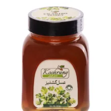 عسل طبیعی گشنیز رویال کندو کوهرنگ وزن 900 گرم
