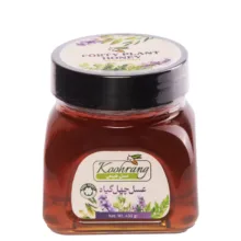 عسل طبیعی چهل گیاه رویال کندو کوهرنگ وزن 450 گرم