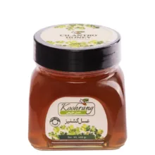 عسل طبیعی گشنیز رویال کندو کوهرنگ وزن 450 گرم
