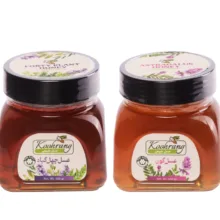 عسل طبیعی چهل گیاه و گون رویال کندو کوهرنگ وزن 450 گرم بسته 2 عددی