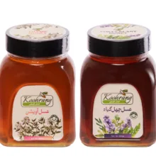 عسل طبیعی آویشن و چهل گیاه رویال کندو کوهرنگ وزن 900 گرم بسته 2 عددی