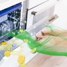 بوگیر ماشین ظرفشویی فینیش مدل DuoPack Leamon