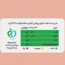 پودر کتلت گیاهی با طعم گوشت نیواگ وزن 300 گرم