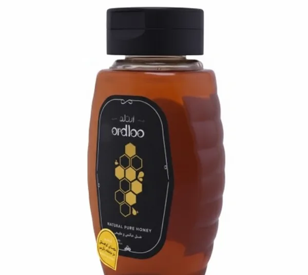 عسل اسکوئیز اردلو وزن 680 گرم