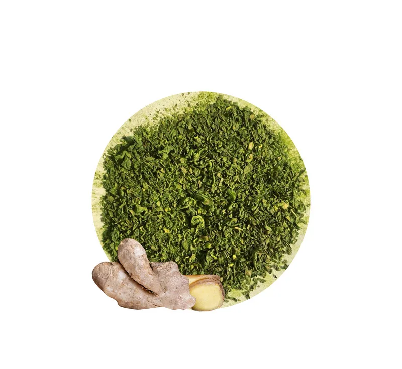 چای ماچا با جنسینگ فان تایم بسته 14 عددی