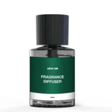 خوشبو کننده هوا گرین لاین مدل Fragrance 2In1 Combo حجم 160 میلی لیتر به همراه شیشه اضافه